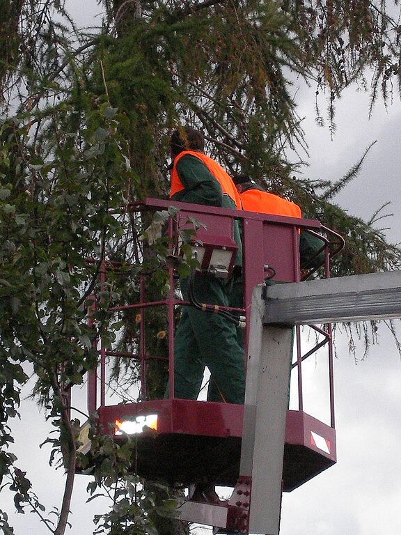 Anhänger Arbeitsbühne TMT 150 Anhänger Arbeitsbühne TMT 150